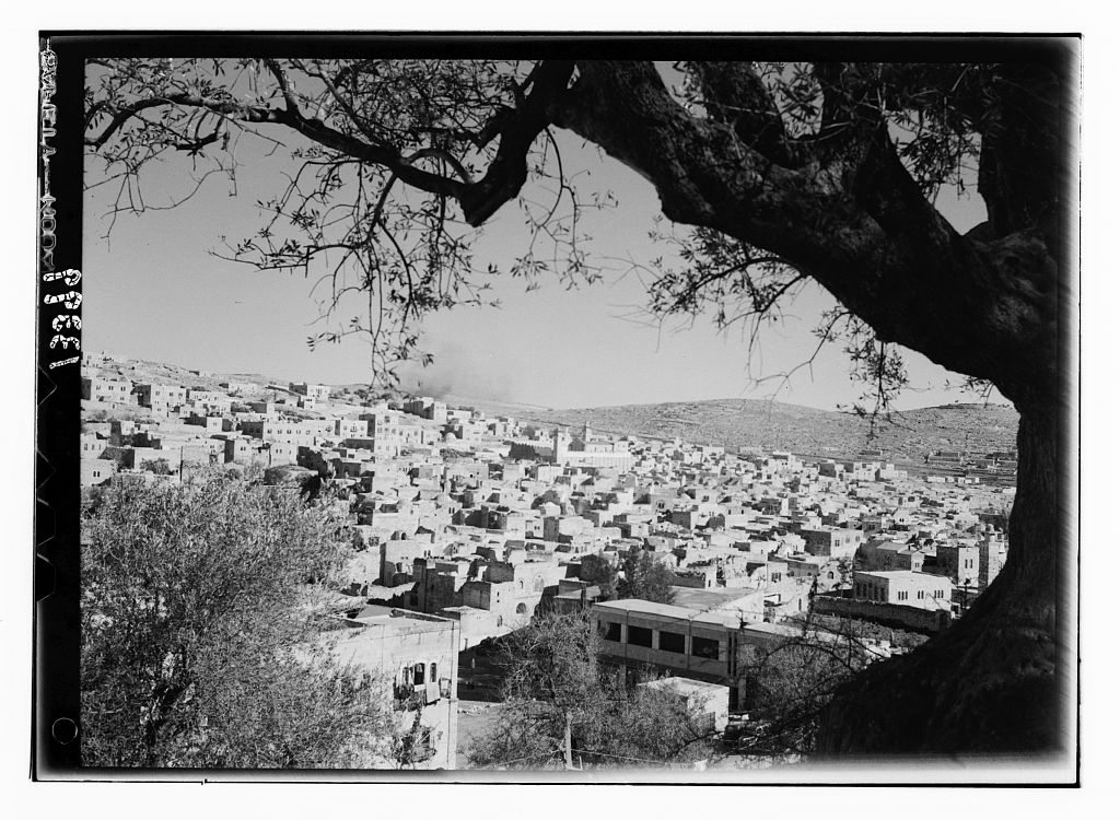 Historical photograph of Hebron seen beneath an olive tree