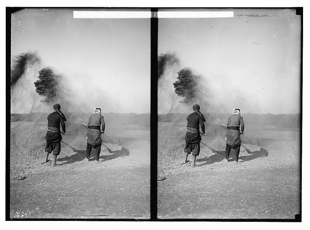 Characters and industries, etc. Winnowing grain in the Lebanon