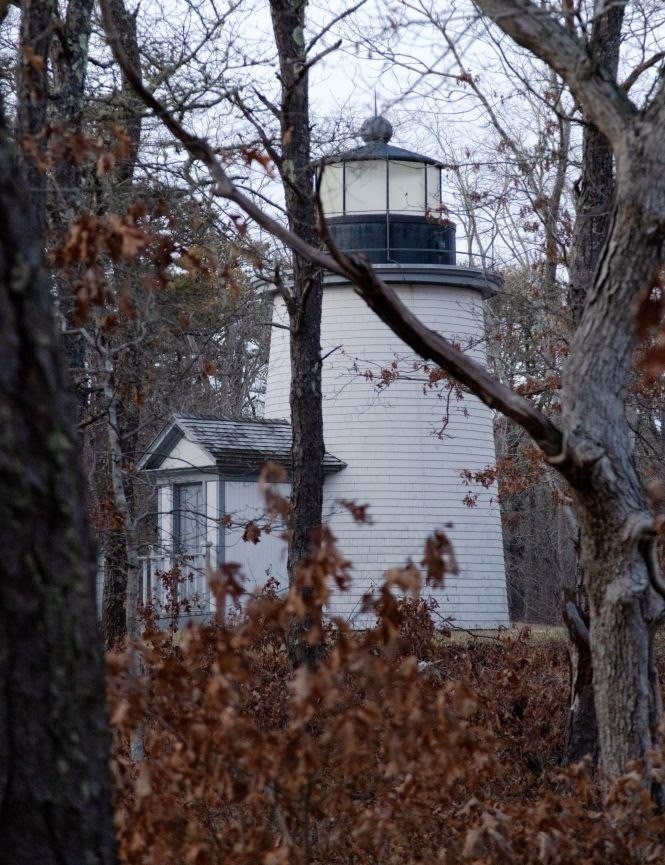 A lighthouse can be seen through trees.