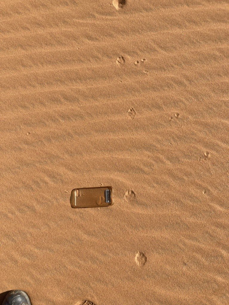A trail of fennec tracks crosses sand beside a scale marker.